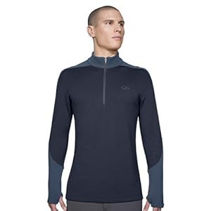 Icebreaker Mens Rock Zip Sport 320 Top by  