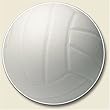 Volleyball Auto Coaster, Single Coaster for Your Car