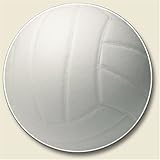 Volleyball Auto Coaster, Single Coaster for Your Car