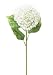 Club Pack of 12 White Hydrangea Artificial Flower Stems 24"