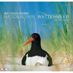 Nationalpark Wattenmeer 2011