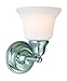 Dolan Designs 491-09 1Lt Bath Satin Nickel Brockport 1 Light Bathroom Fixture