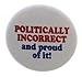 QTY 10 Politically Incorrect and proud of it! 1.25
