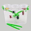 FIELD TRIP BUG LAB