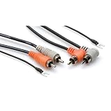Dual Audio Interconnect