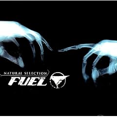 Natural Selection