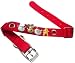 HRH Pets Holiday Collar and Charm Set, Medium