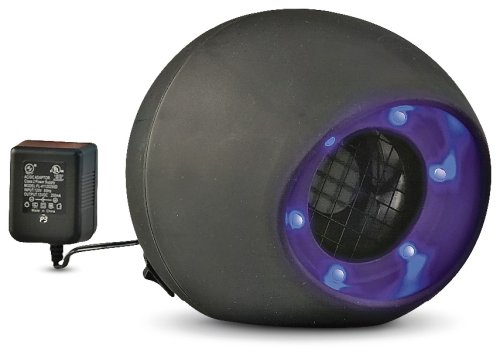 LED Bug Trap