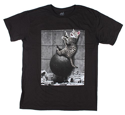 Kitty Cat Wrecking Ball Graphic T-Shirt