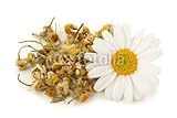 Wallmonkeys Peel and Stick Wall Decals - Dried Chamomile Tea Isolated on White Background - 72
