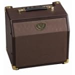 Dean Guitars DA15C Acoustic Amp 15 Watt 15-Watt 1x8 Acoustic Guitar Amplifier with Chorus