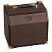 Dean Guitars DA15C Acoustic Amp 15 Watt 15-Watt 1x8 Acoustic Guitar Amplifier with Chorus