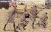 Search : 1/35 British 8th Army Inf, '42