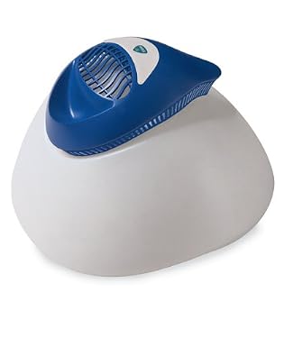 warm steam vaporiser