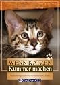 Wenn Katzen Kummer machen: Verhaltensprobleme verstehen und lösen