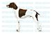   - POINTER - Dog Decal - sticker dogs car got window