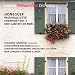 Classical Music : Honegger: Summer Pastoral / Symphony No. 4 / Christmas Cantata