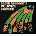 David Rodigan S Dubwize Shower