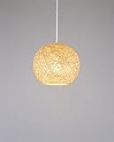 �A�o�J�@�o���[�������v�@�i�`�������@GEM-892P�@