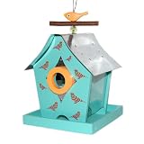 Rosso's International WF16 Psychdelic Birds Birdfeeder