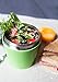 MIRA Stainless Steel Lunch Jar, Vacuum Insulated. 10oz, Split Pea Green