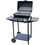 barbecue gaz arizona 5 kw 49.5 x 39.5 cm