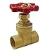 Proline 100-454NL Low Lead Gate Valve, 3/4"