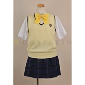 ときめきメモリアル4 きらめき高校新制服 ニットベスト サイズ:Ladies L
