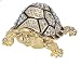 Jewelry Trinket Box with Crystal-Giant Turtle