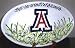 University of Arizona Oval Dish