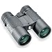 Bushnell Powerview 10x42 Roof Prism Binocular