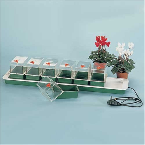 Childrens Toyshop  Outdoor Living : Window Sill Propagator