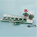 Kitchen & Housewares : Window Sill Propagator