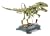 dinosaurs home