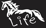 Horse Life 6