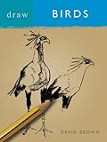 Draw birds
