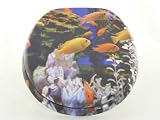 Aniba ABTD007 Toilettendeckel / WC Sitz Meer