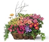 Teleflora