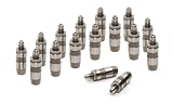Evergreen LF6046(16) Dodge Jeep VIN W X 6 9 L M Z V8 Lash Adjuster Lifters
