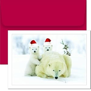 Santa Hat Bears Christmas Cards -