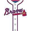 Atlanta Braves MLB Book Cover