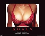 Goals Poster