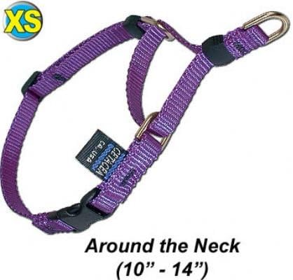 Franks Deals® XS Soft Webbing Martingale Hot Pink