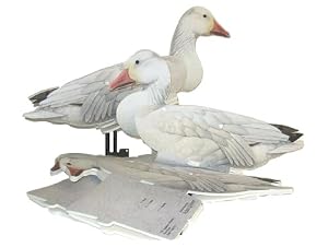 Snow Goose Dozen Duck Decoys Goose
