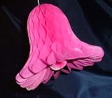 41RybafaJjL. SL160  Honeycomb Bells   Bridal/Wedding/Anniversary Decor   9 (2 count)   Hot Pink Reviews