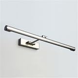 Goya long picture light