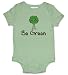 Inspire Clothing Organic Be Green Bodysuit Mint, 18 Months
