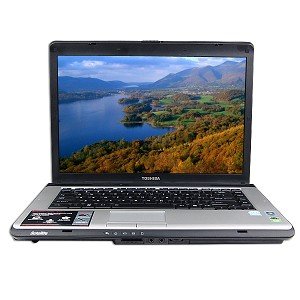 review Toshiba L305-S5917