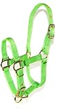Hamilton 3/4-Inch Adjustable Miniature Nylon Horse Halter, Yearling, Lime Green