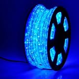Free Shipping Christmas Xmas New Year Lighting LED Rope Light 50ft Blue w/ Connector
